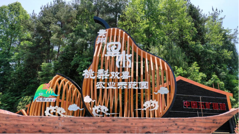 生】从赋能到共生：央企解锁乡村振兴新密码pg电子免费模拟器【答卷十四五·央企惠民(图7)