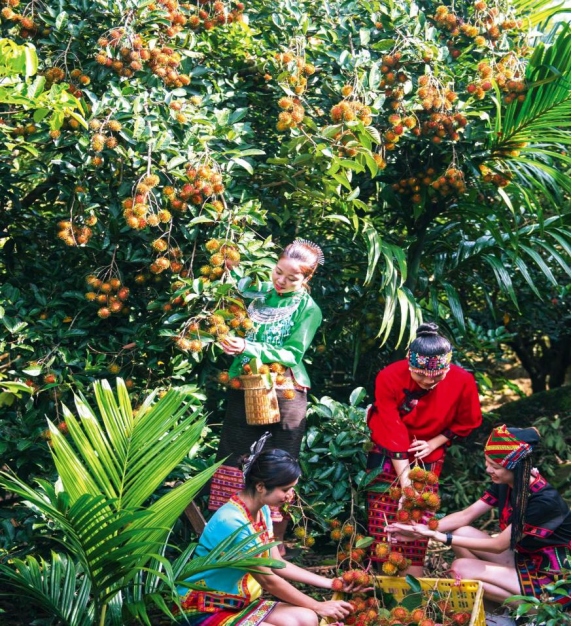 生】从赋能到共生：央企解锁乡村振兴新密码pg电子免费模拟器【答卷十四五·央企惠民(图9)