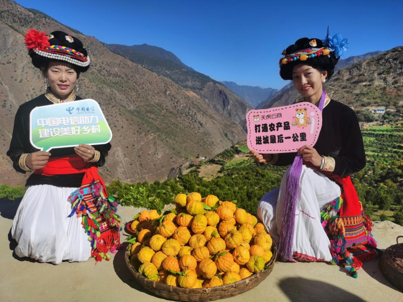 生】从赋能到共生：央企解锁乡村振兴新密码pg电子免费模拟器【答卷十四五·央企惠民(图11)