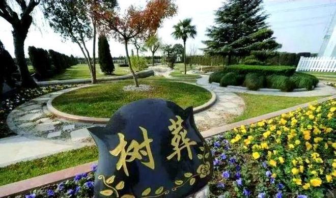 已经在国内试用很多人表示不能接受pg试玩“火葬”将被淘汰？新方式(图6)