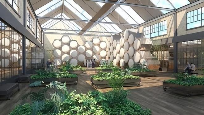 已经在国内试用很多人表示不能接受pg试玩“火葬”将被淘汰？新方式(图5)