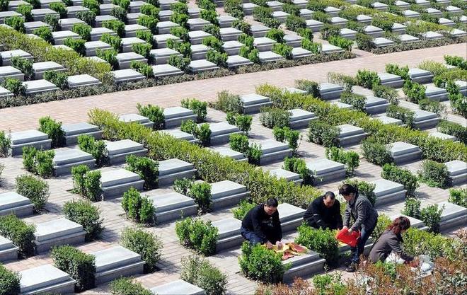 已经在国内试用很多人表示不能接受pg试玩“火葬”将被淘汰？新方式(图10)